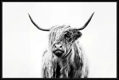 Картина Модный бык №8