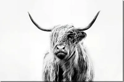 Постер Модный бык №8