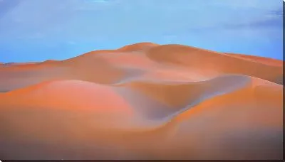 Картина маслом Барханы №2