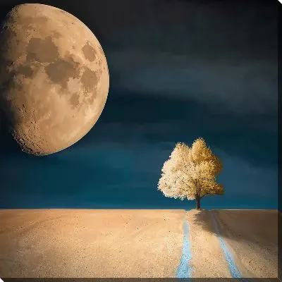Постер Лунный свет и дерево