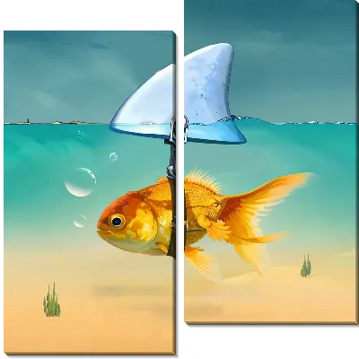 Золотая рыбка-акула