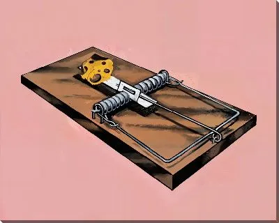 Мышеловка с сыром №23