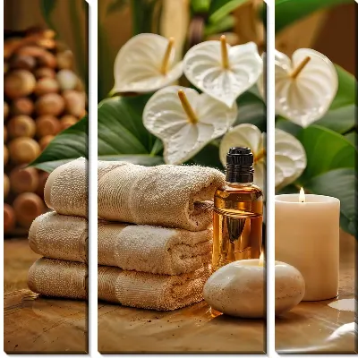 Модульная картина СПА №33