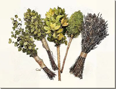 Картина маслом Веники для бани №2