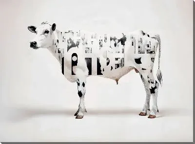 Картина маслом Белая корова