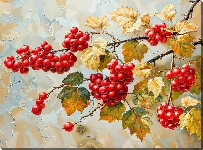 Красная смородина