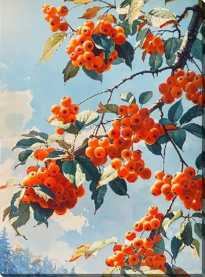 Постер Ветки рябины