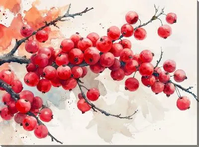 Постер Ветка алых ягод