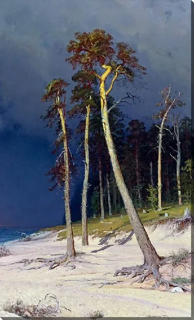 Картина Песчаное побережье