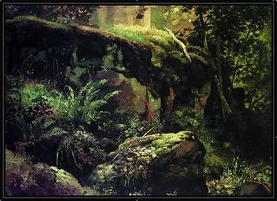 Камни в лесу. Валаам