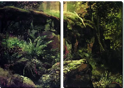 Камни в лесу. Валаам