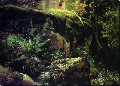 Камни в лесу. Валаам