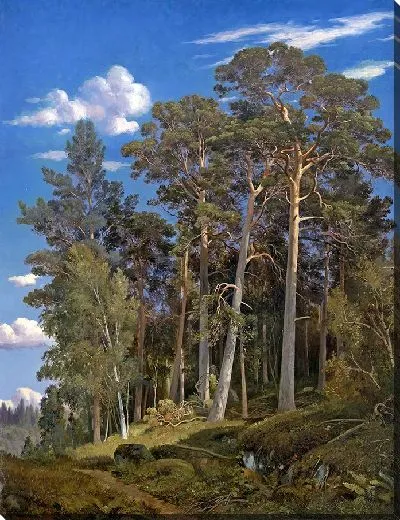 Картина Сосновый лес