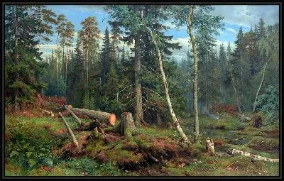 Лесозаготовки