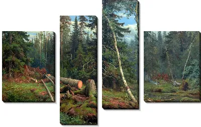 Лесозаготовки