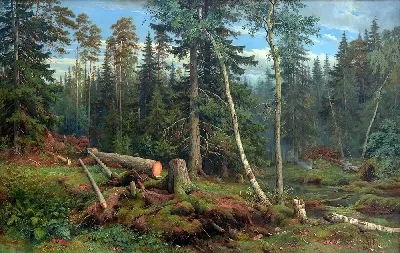 шаблон id 38