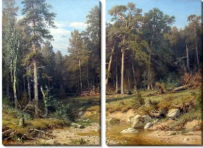 Картина Сосновый лес. Мачтово-лесной лес в Вятской губернии.