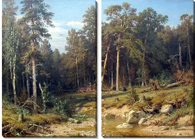 картина