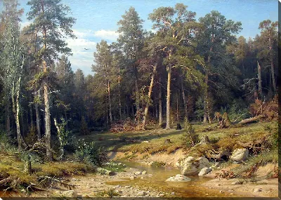 картина