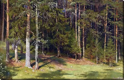 картина