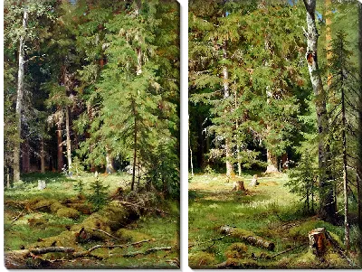 Картина Лес №49