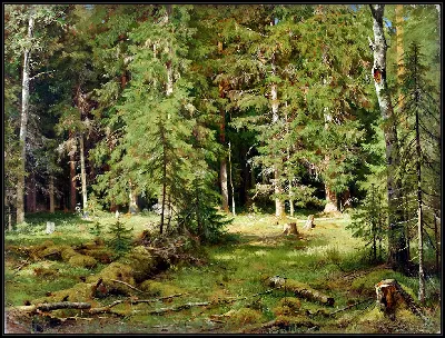 картина