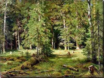 картина