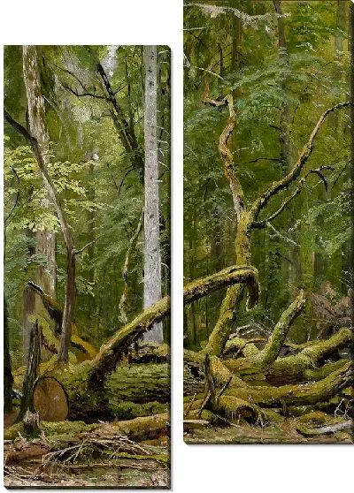 Картина Дуб пиленый