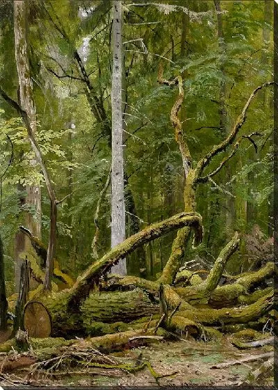 Картина Дуб пиленый