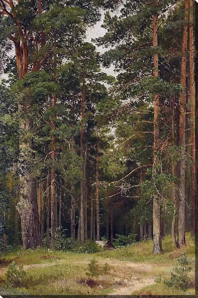 картина