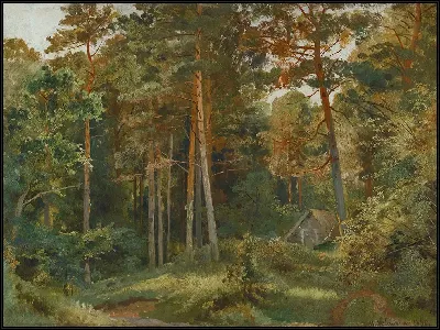 картина