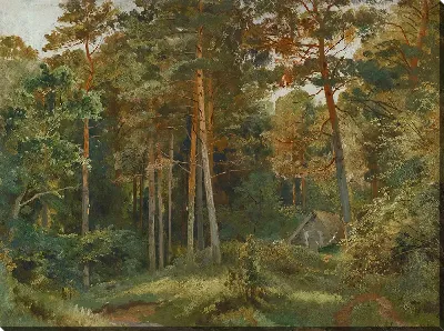 картина