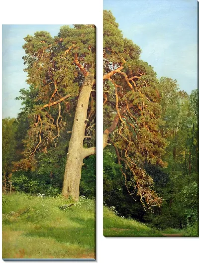 Картина Сосна. Мерикюль