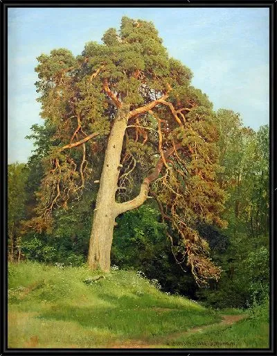 Картина Сосна. Мерикюль