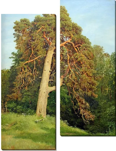 картина