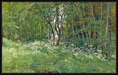 Цветы на опушке леса