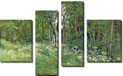 Цветы на опушке леса