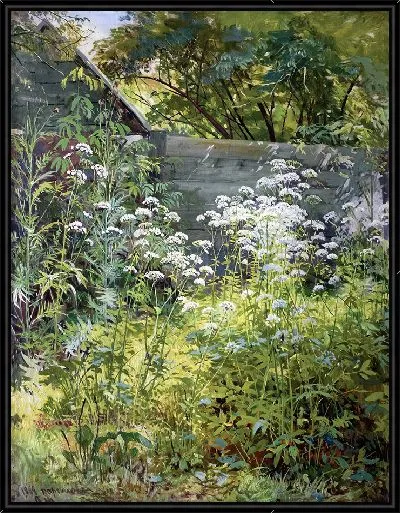 Картина Угловой заросший сад. Эегоподиум-трава