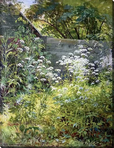 Картина Угловой заросший сад. Эегоподиум-трава