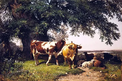 шаблон id 38