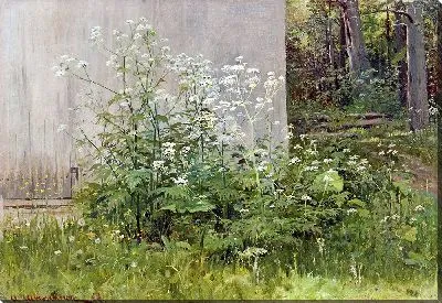 Картина Цветы у забора