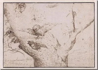 Картина Совиное гнездо