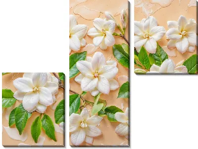 Модульная картина Жасмин №23