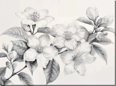 Картина маслом Жасмин №24