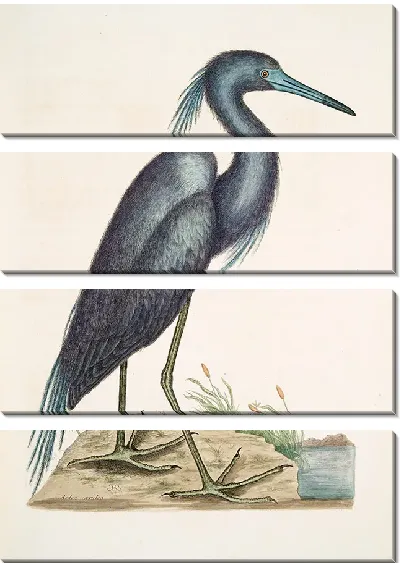 Картина Голубая цапля (1754)