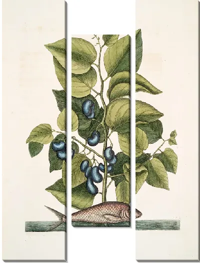 Картина Харенгус, Круда (1754)