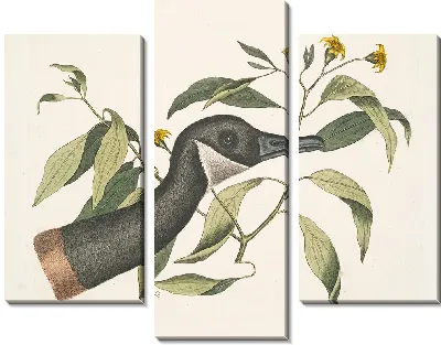 Картина Канадский гусь, хризантема (1754)