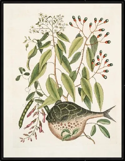 Картина Рыба-Шар (1754)