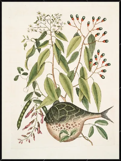 картина