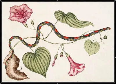 Картина Вирджинский картофель и змея-бусина (1754)